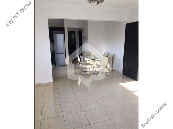 2 bedroom apartment for rent agios dometios nicosia 8338730 image 15778802