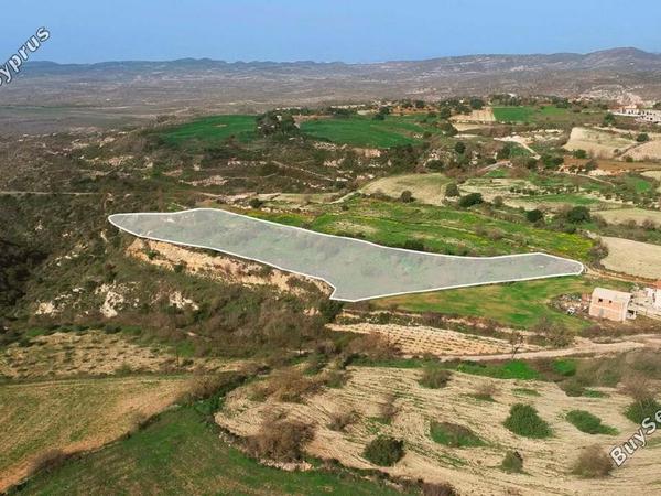 land for sale koili paphos 1911730 image 7393369