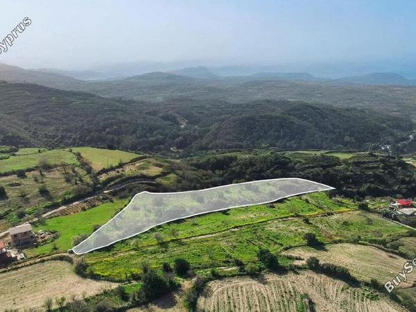 land for sale koili paphos 1911730 image 7393371
