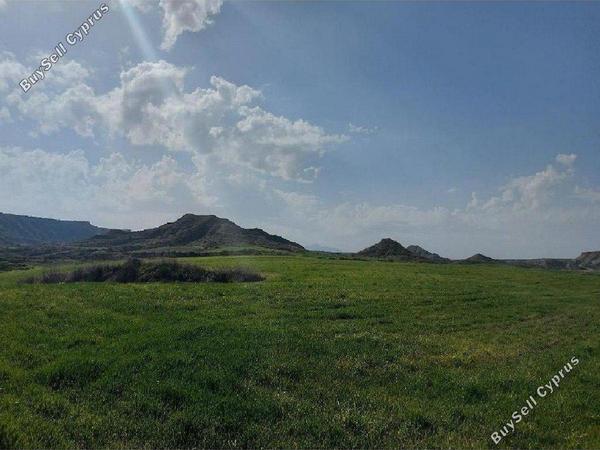 land for sale pera orinis nicosia 8412730 image 16779175
