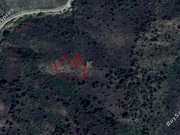 land for sale platanistasa nicosia 1194730 image 5569820