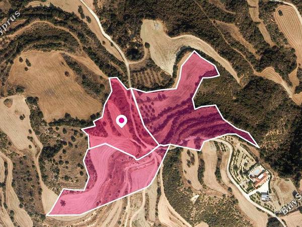land for sale skoulli paphos 8565730 image 15883420
