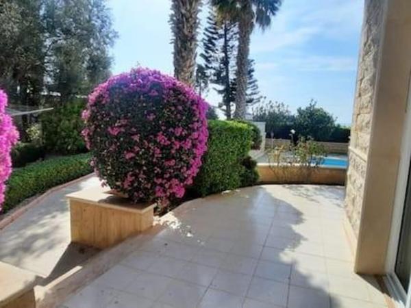 4 bedroom detached house for sale chlorakas paphos 1737830 image 5995643