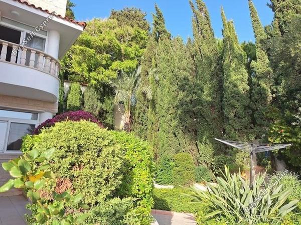 4 bedroom detached house for sale chlorakas paphos 1737830 image 5995659