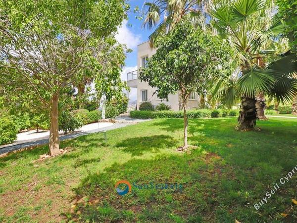5 bedroom detached house for sale peyia paphos 8710830 image 16403735
