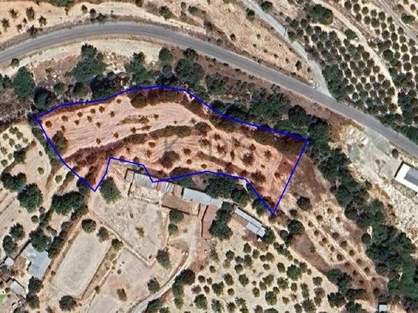 land for sale fasoula lemesou limassol 1724830 image 5898609
