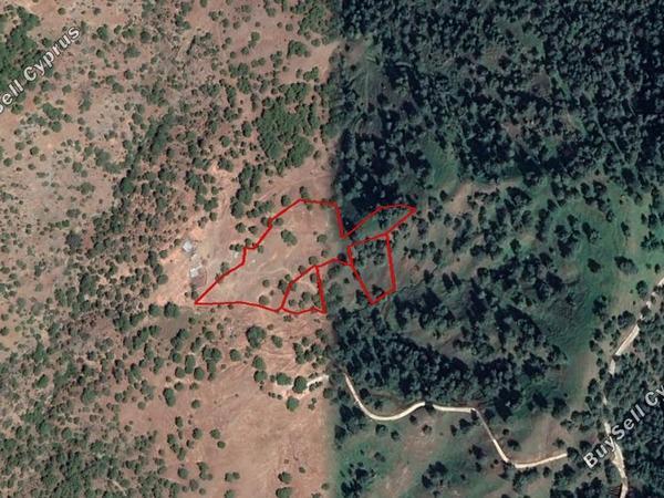 land for sale pigenia nicosia 829830 image 15664135
