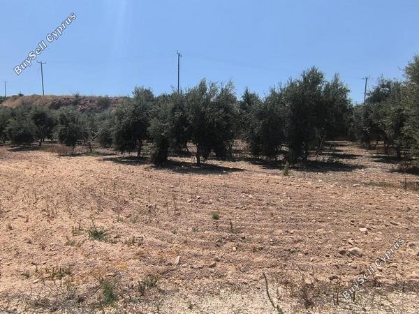 land for sale prodromi paphos 8395830 image 14822002