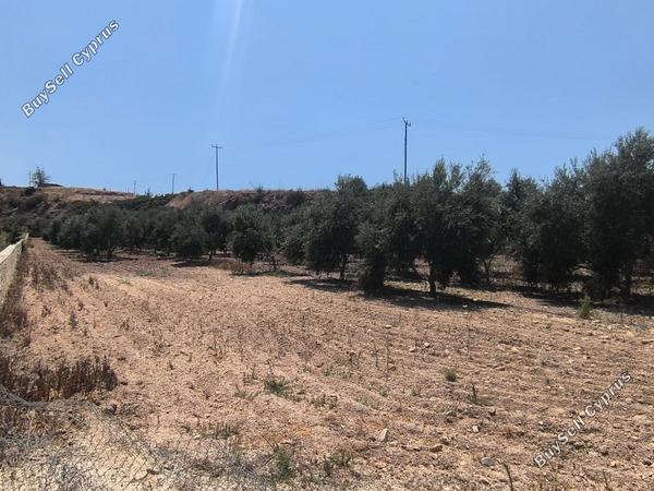 land for sale prodromi paphos 8395830 image 14822003