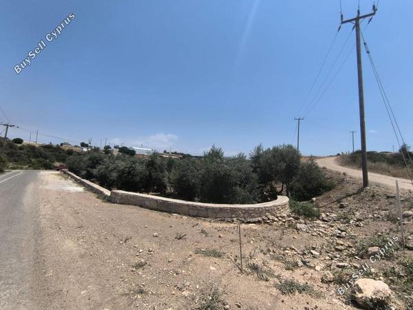 land for sale prodromi paphos 8395830 image 14822004