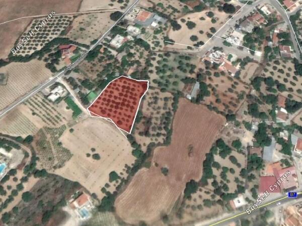 land for sale giolou paphos 1352930 image 2540528