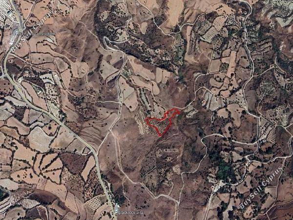 land for sale lasa paphos 8664930 image 17009882