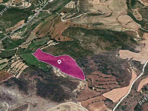 land under offer loukrounou paphos 1104930 image 15933939