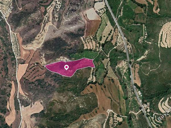land under offer loukrounou paphos 1104930 image 15933941