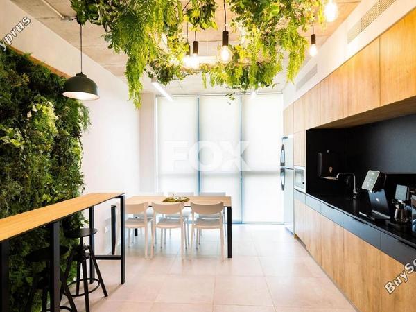 studio office for rent zakaki limassol 1593930 image 14175101