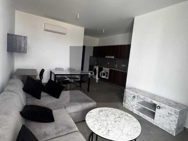 1 bedroom apartment for rent aglantzia nicosia 8612040 image 16425296