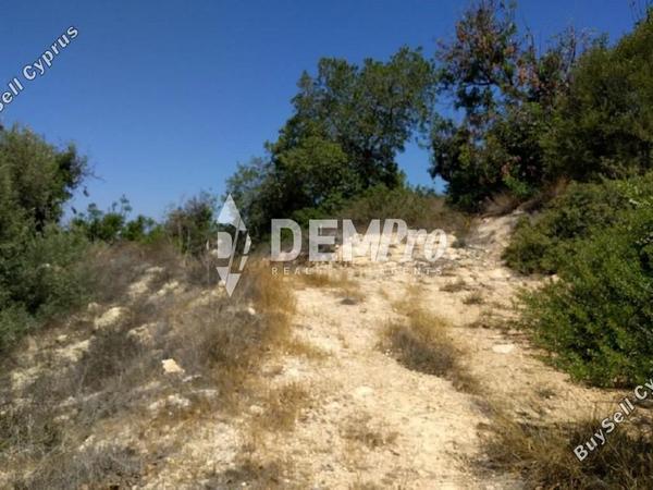 land for sale lofos tala paphos 7813040 image 10644550