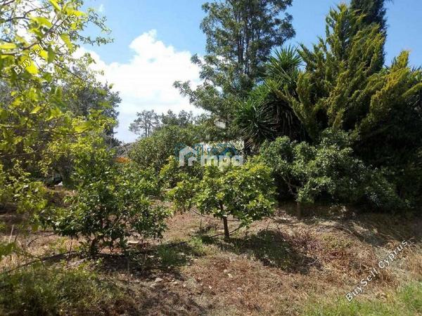 3 bedroom detached house for sale shia nicosia 1728240 image 5510159