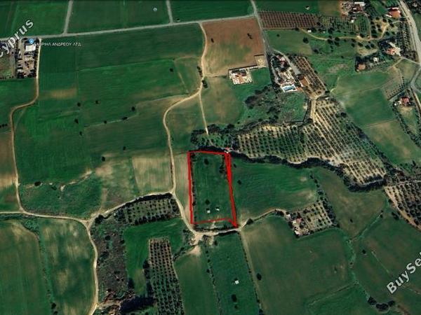 land for sale mazotos larnaca 8081240 image 13096161