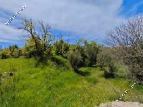 land for sale pera pedi limassol 8463240 image 15594930