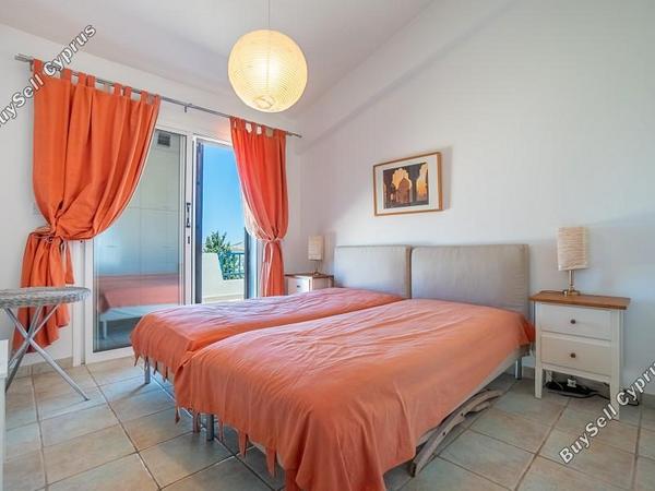 3 bedroom detached house for sale tsada paphos 8869340 image 17377460