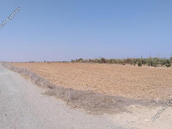 land for sale avgorou famagusta 829340 image 1055289