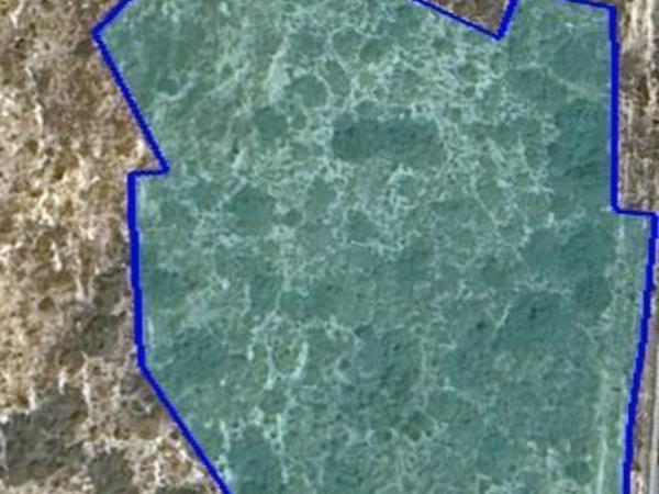 land for sale parekklisia limassol 1621340 image 5856837