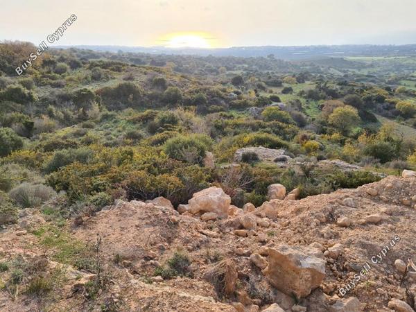land for sale tremithousa paphos 1907340 image 7345620