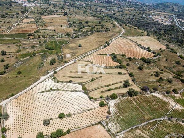 land for sale pachna limassol 1159440 image 14456035