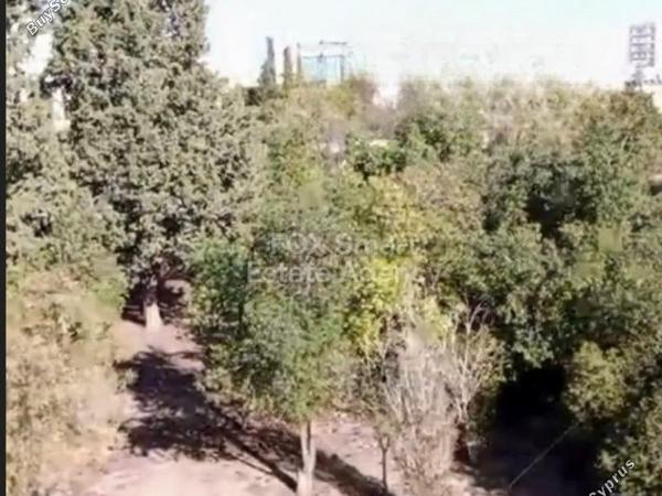 studio apartment building for sale faneromeni larnaca 8664440 image 15989548