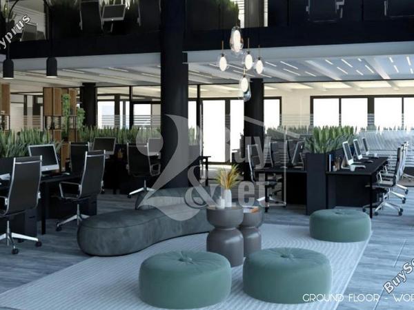 studio commercial building for rent apostolos andreas limassol limassol 1864440 image 16567241