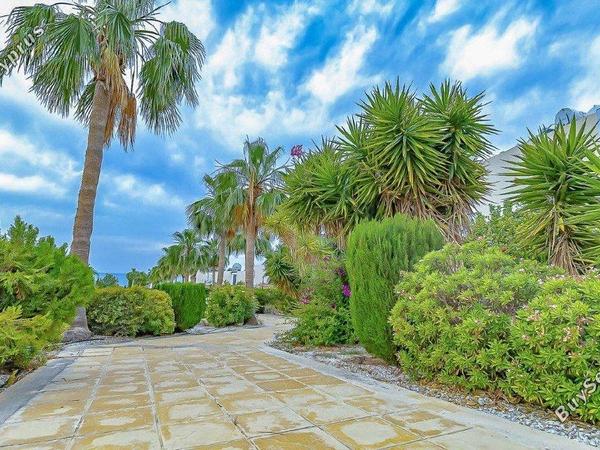 2 bedroom ground floor apartment for sale coral bay paphos 8151540 image 14154132