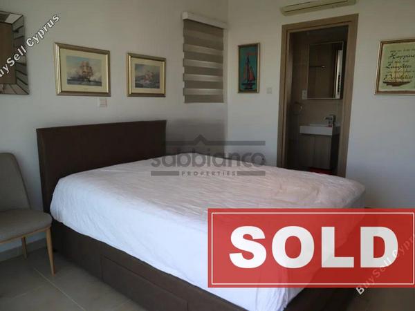 4 bedroom detached house sold protaras famagusta 8741540 image 16584010