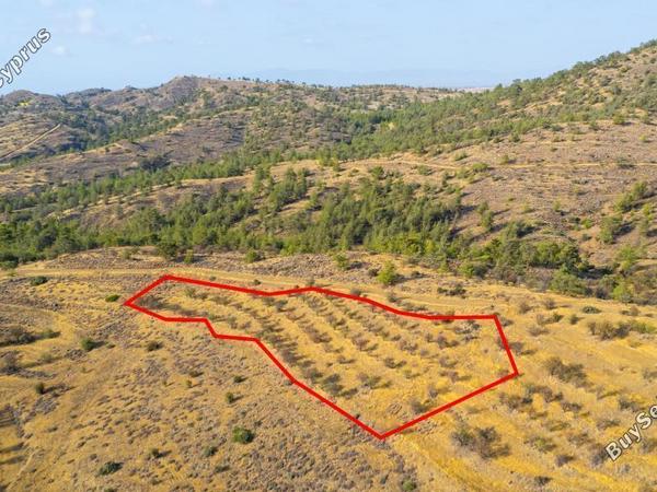 land for sale agia marina xyliatou nicosia 1905540 image 15350739