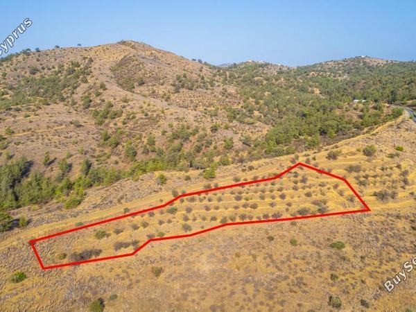land for sale agia marina xyliatou nicosia 1905540 image 15350743