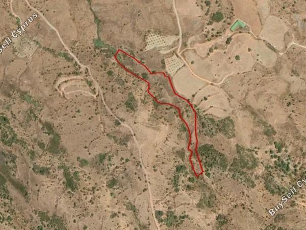 land for sale episkopi pafou paphos 8630540 image 15873658