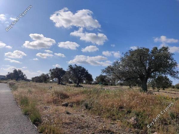 land for sale latsia nicosia 8726540 image 16331873
