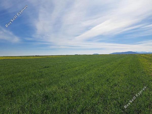 land for sale peristerona lefkosias nicosia 8244540 image 13833603