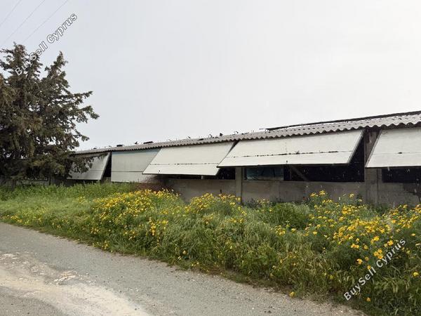 studio warehouse for sale aradippou larnaca 8628540 image 15862658