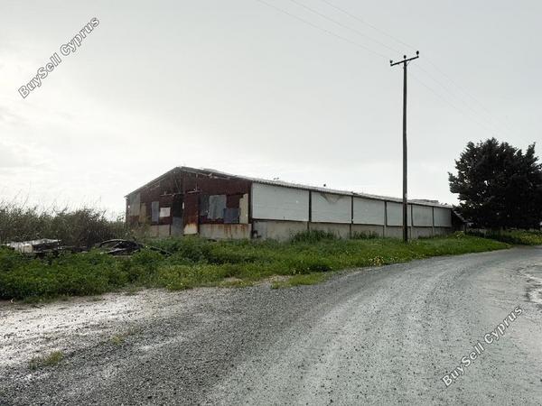 studio warehouse for sale aradippou larnaca 8628540 image 15862660