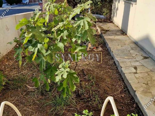 6 bedroom detached house for sale agia varvara nicosias nicosia 1618640 image 16743785