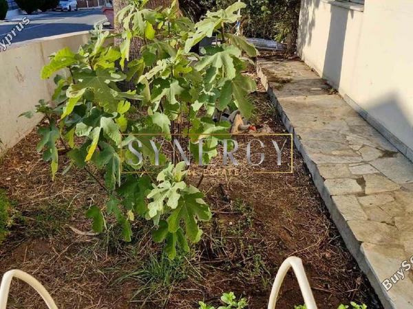 6 bedroom detached house for sale agia varvara nicosias nicosia 1618640 image 5270328