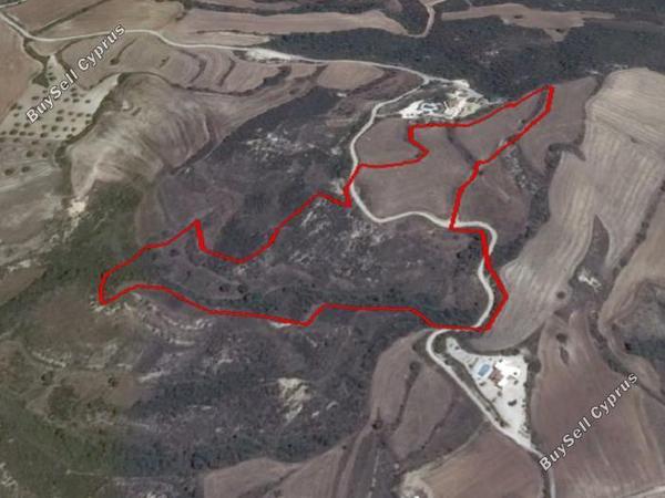 land for sale goudi paphos 1752640 image 9996140