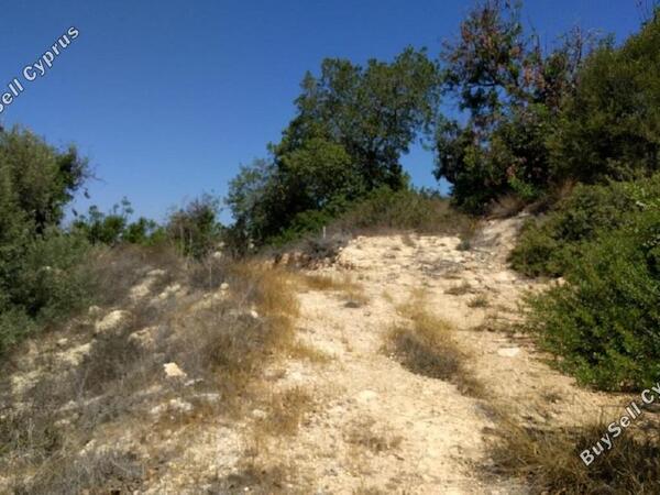land for sale lofos tala paphos 939640 image 835604