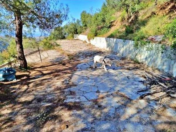 land for sale kalopanagiotis nicosia 7862740 image 10889631