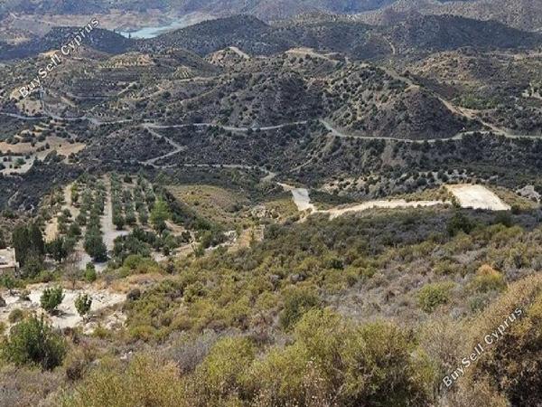 land for sale ora larnaca 945740 image 17187524
