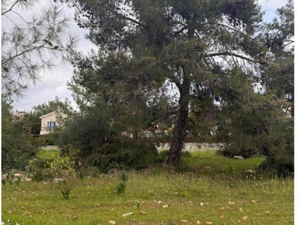 plot sold souni zanakia limassol 1746740 image 4776617