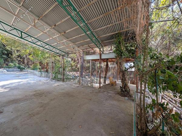 studio detached house for sale kakopetria nicosia 7873740 image 13246001