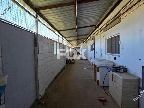 studio office for rent zakaki limassol 1722740 image 5689467