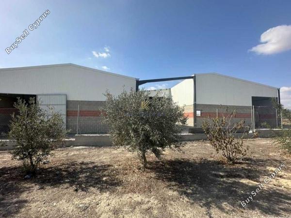 studio warehouse for sale aradippou larnaca 8869740 image 17209764